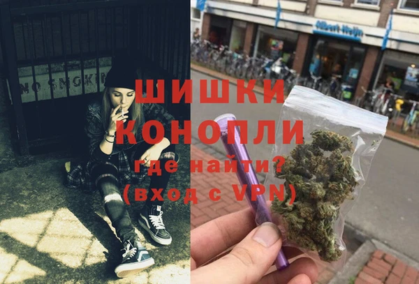 гидра Алексин