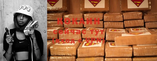 дживик Абинск