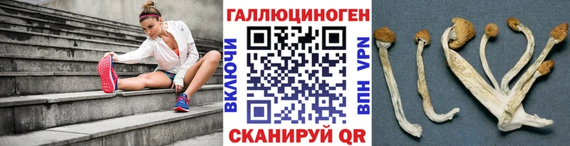 купить наркотики сайты Кимовск Галлюциногенные грибы ЛСД