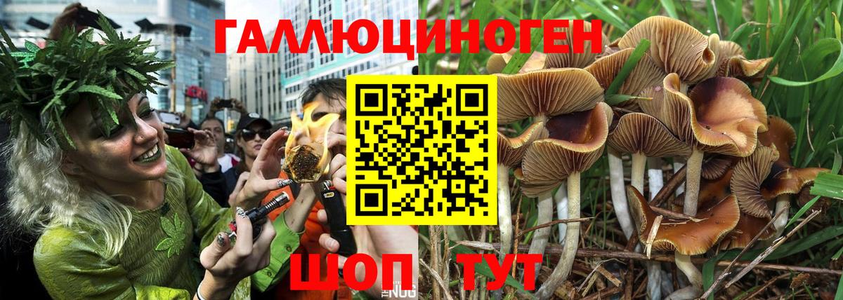 Галлюциногенные грибы мицелий  Вход с VPN  Кимовск 